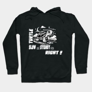 funny turtle Slow and steady wins, right Hoodie